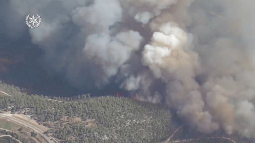 burning forest in bird's-eye view. Picture shot from the Israeli Police