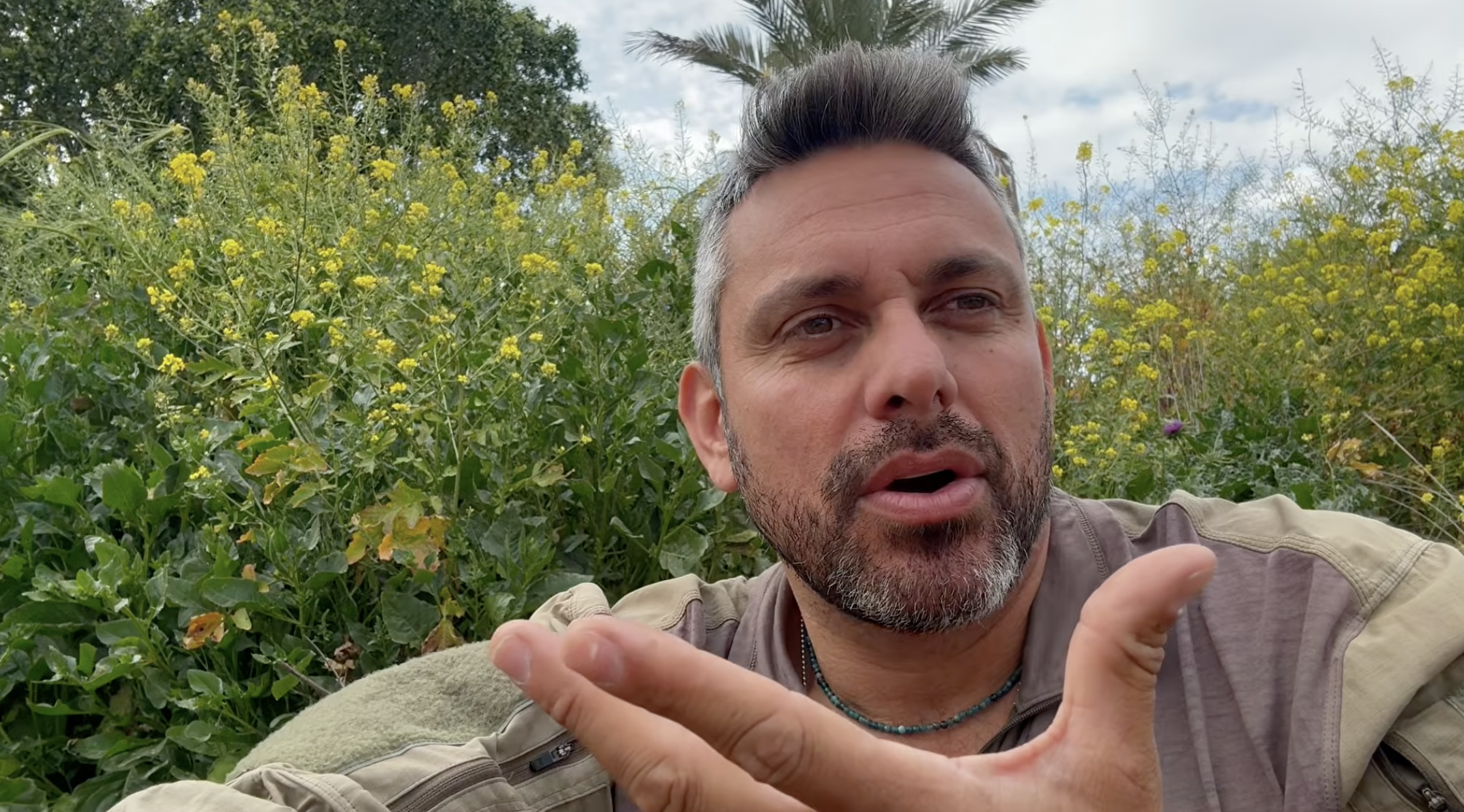 Update (Day 889) Swords of Iron-Roaring Lion “Breathe”